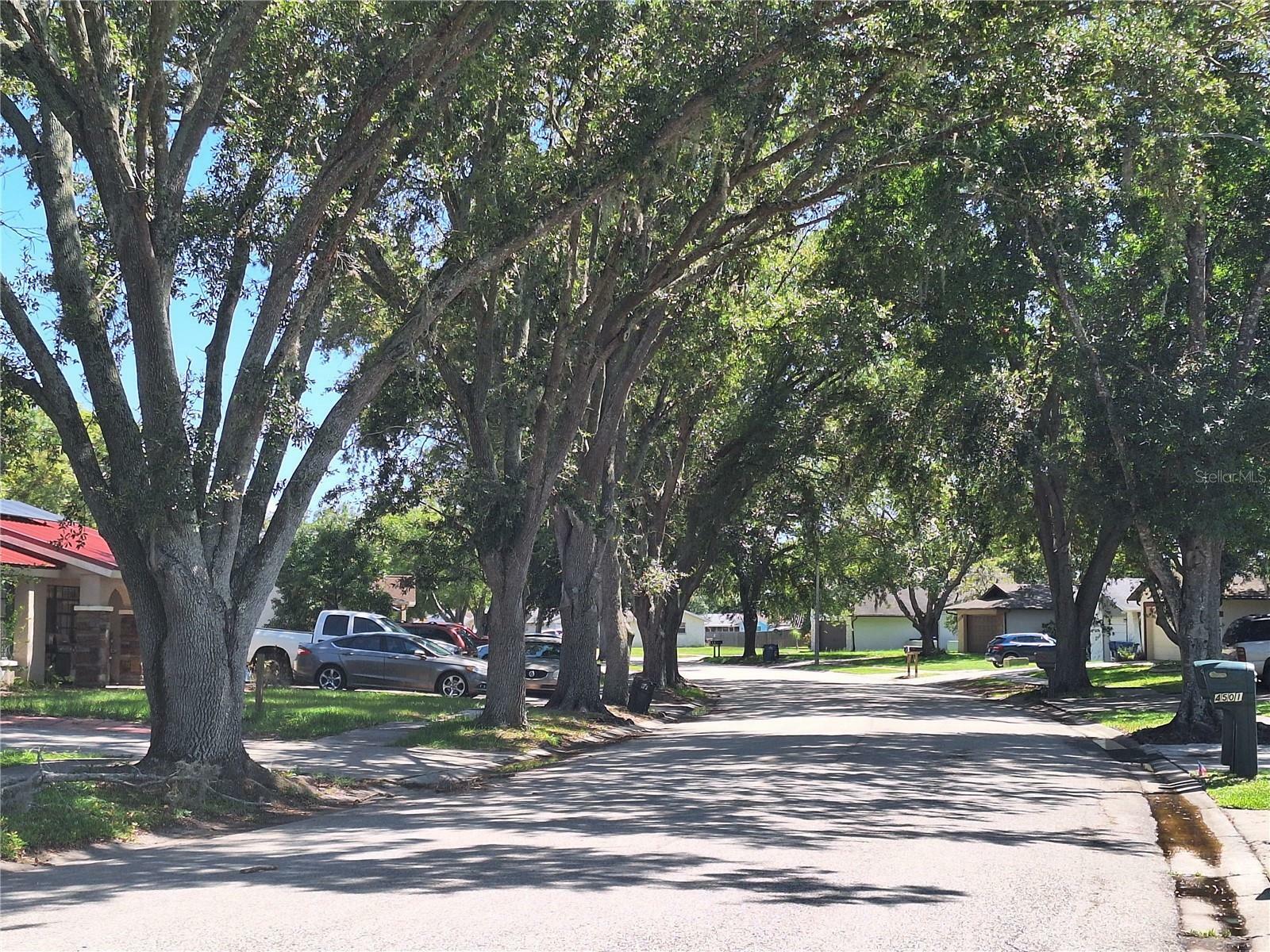 Property Photo:  4420 Sawgrass Boulevard  FL 34653 