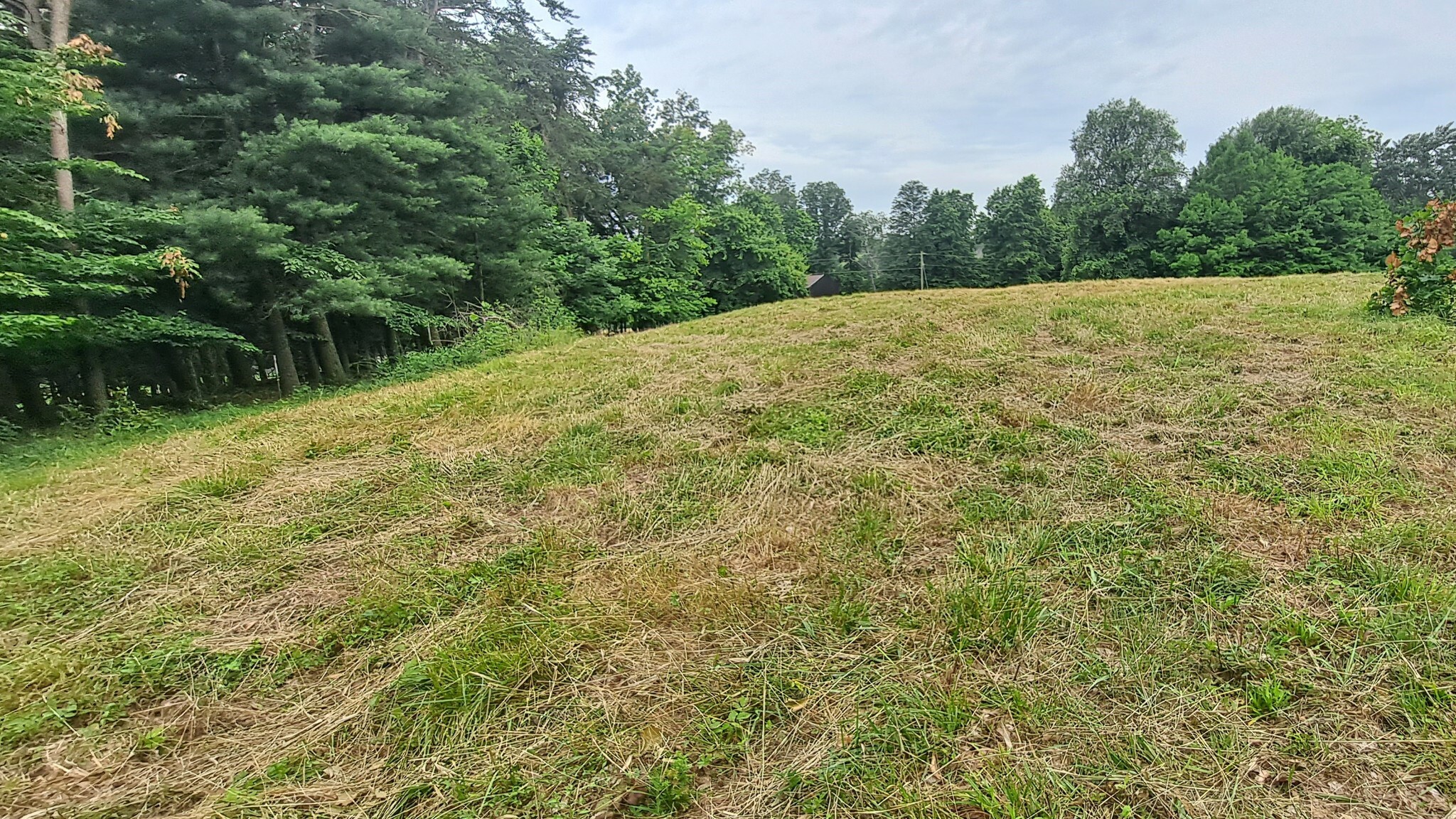 Property Photo: 0 Gaddie Cemetery Road KY 42757