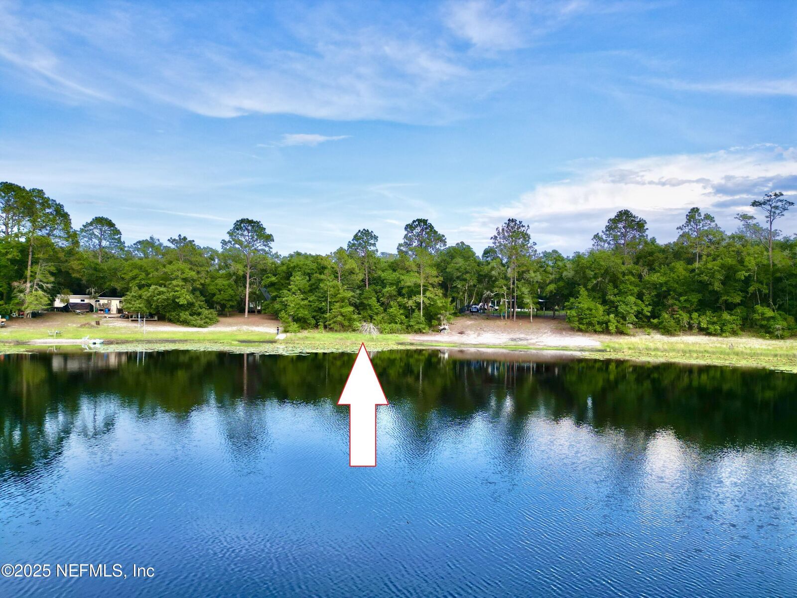 Property Photo:  251 Swan Lake Road  FL 32666 