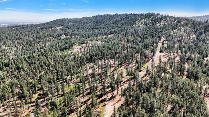 Property Photo:  Nka Lower Weaver Lot C Way  WA 99006 