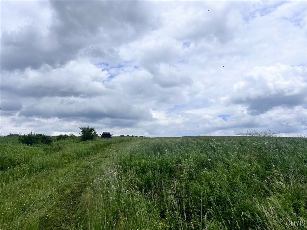 Property Photo:  Telephone Road  NY 13040 