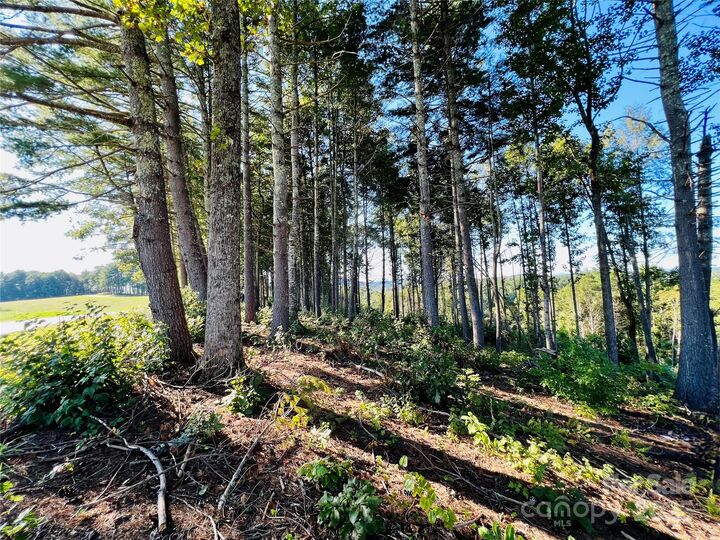 Property Photo: 2.07 Acres, 2058 Thoroughbred Way G16 NC 28645