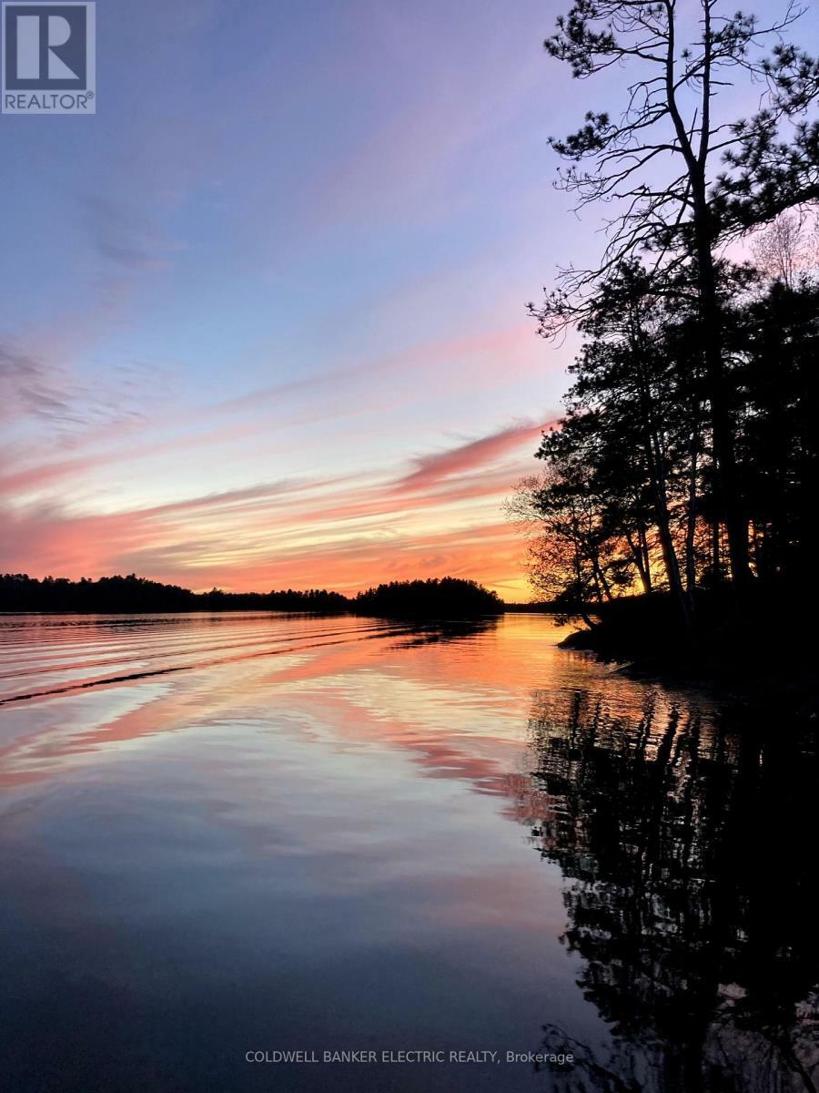 820 Island 28  Havelock-Belmont-Methuen ON K0L 1A0 photo