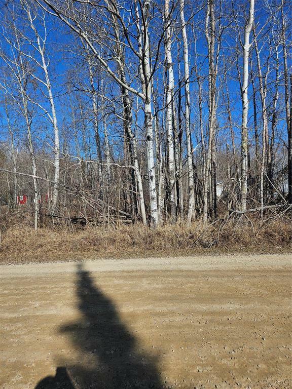 Property Photo:  53 Berrywood Bay  MB R0E 2C0 