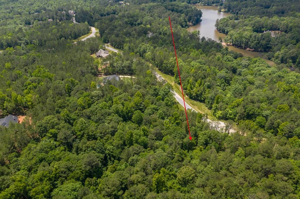 Property Photo: Lot 16 Lake Bright Drive GA 31904