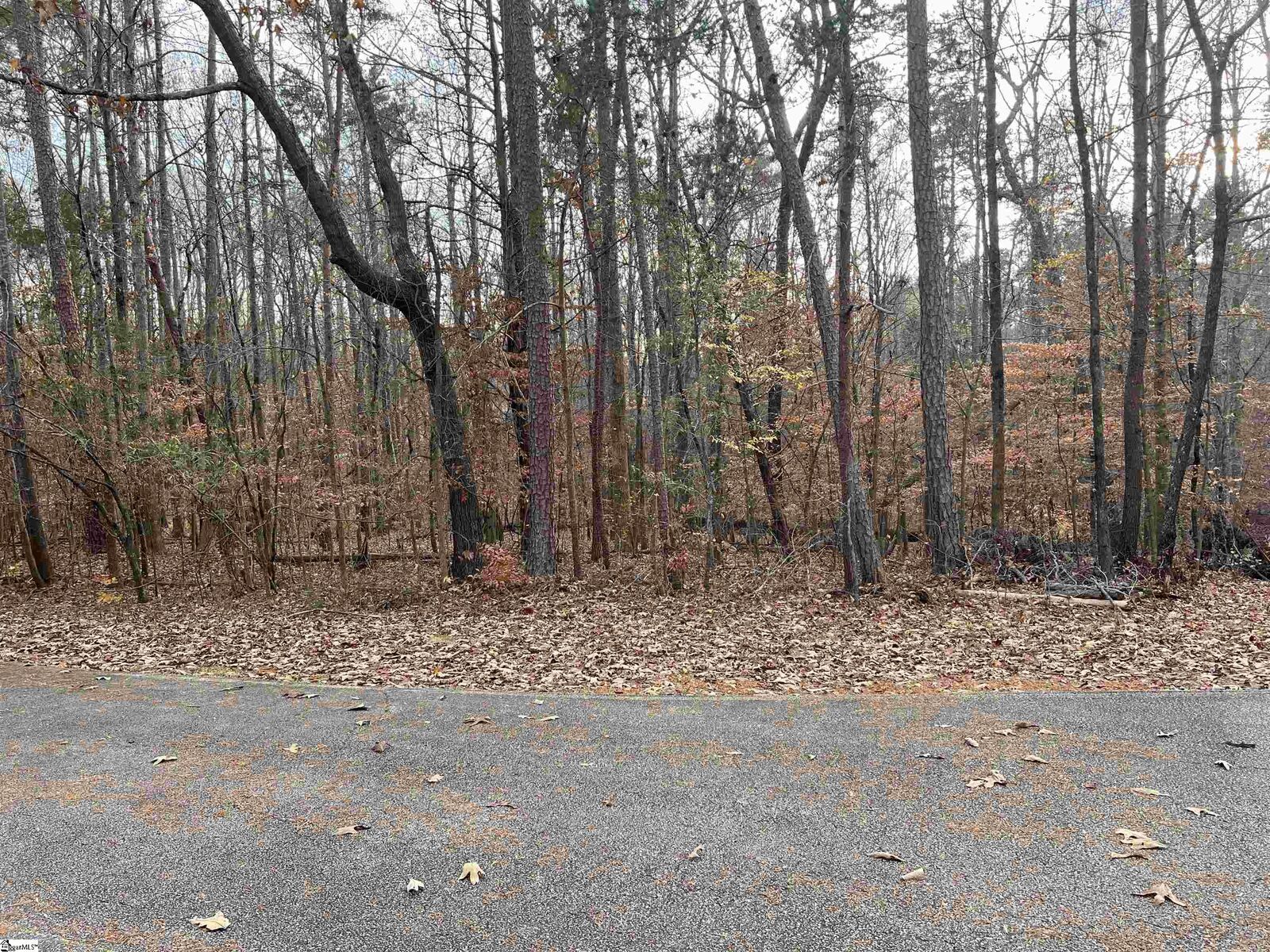 Property Photo:  205 Apricot Lane  SC 29672 