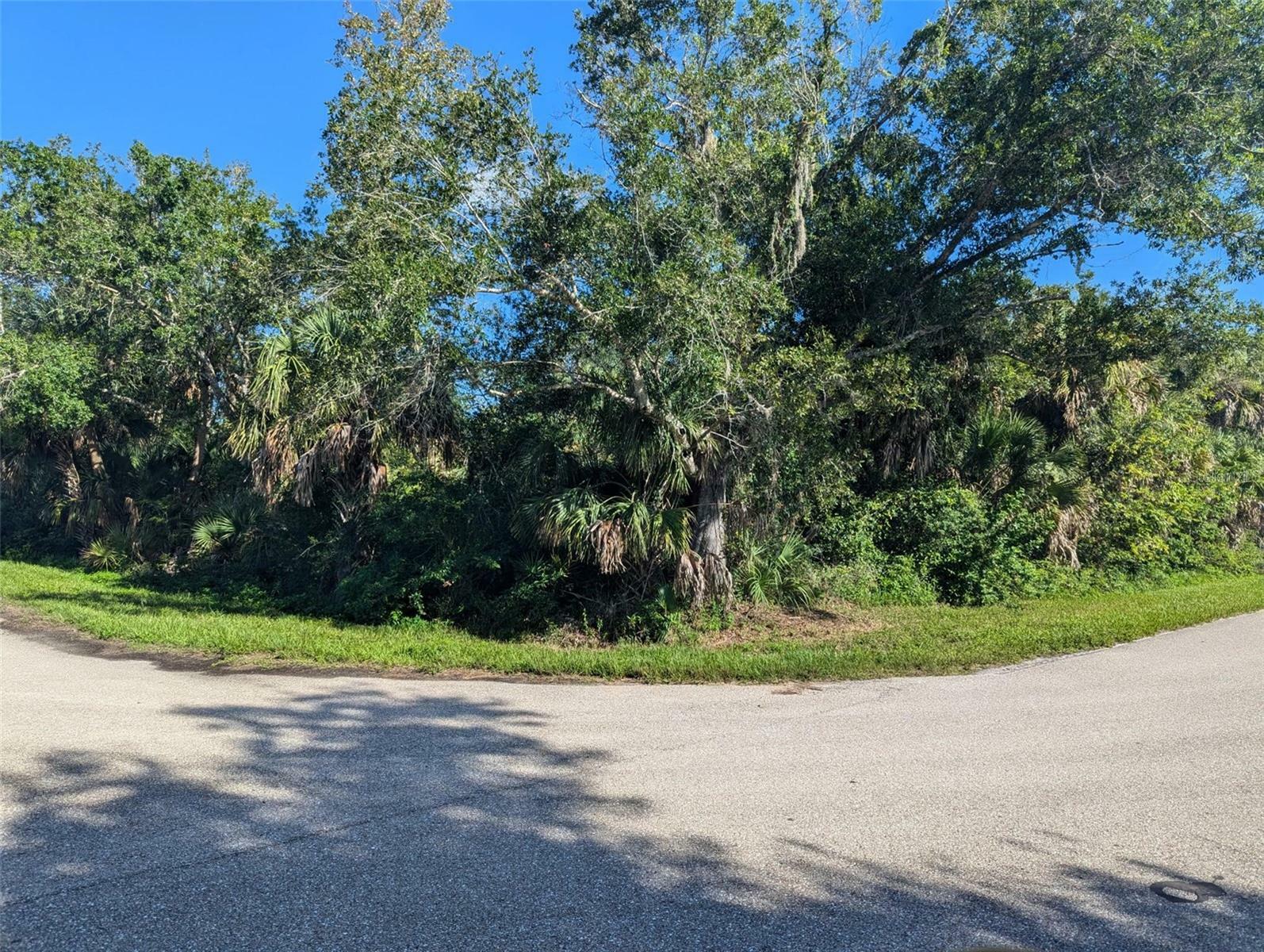 Property Photo:  16506 McLaury Avenue  FL 33954 