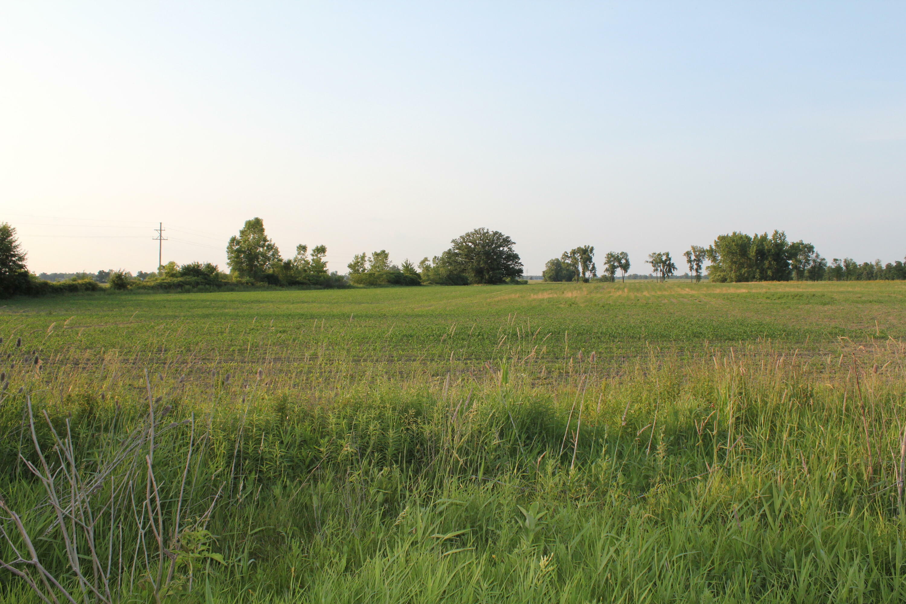 Property Photo: Vl Tamarack Road MI 49247