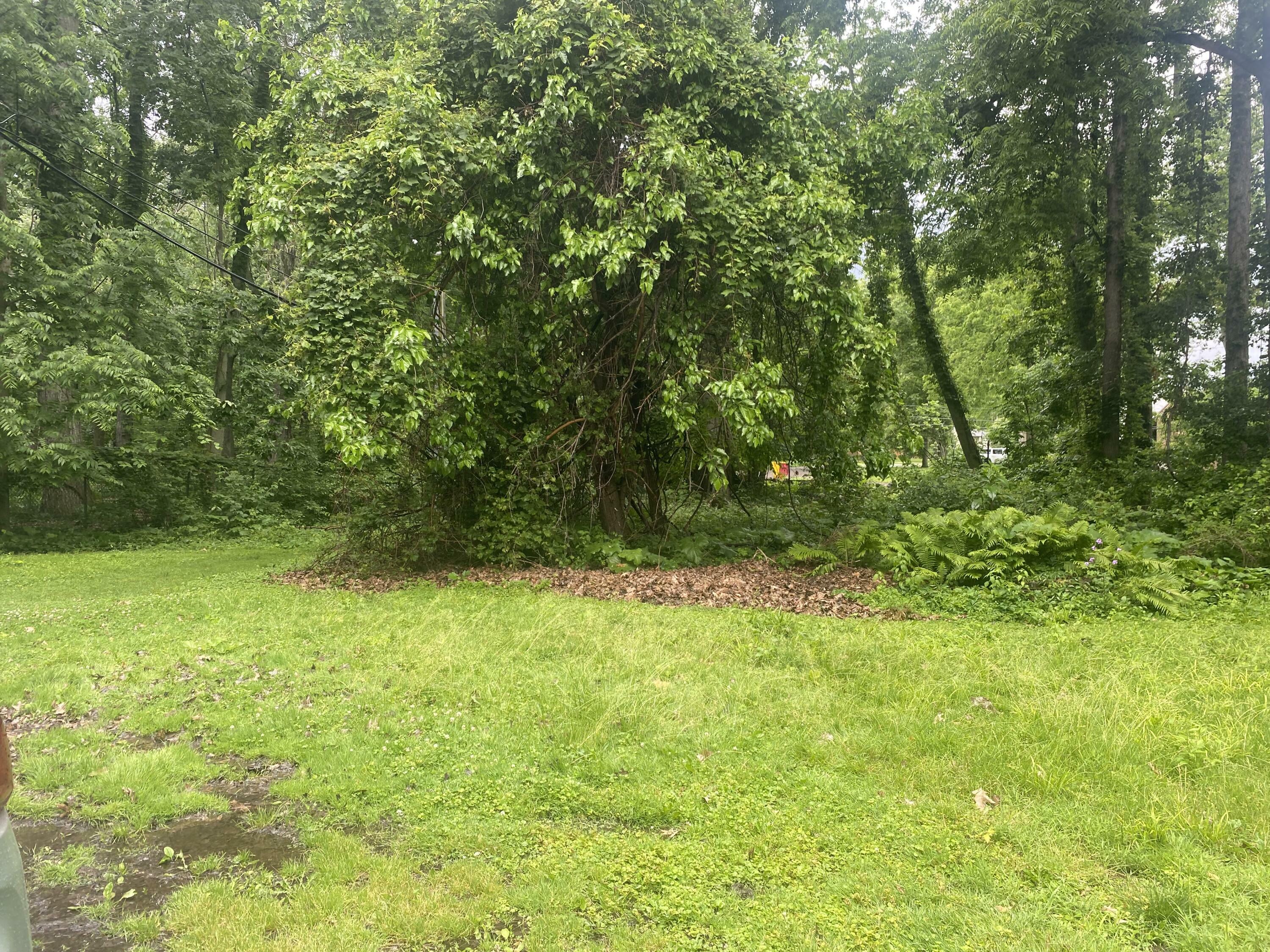 Property Photo: Vacant Southpointe Road MI 48138