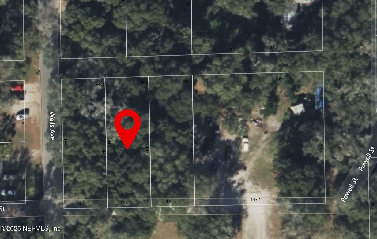 Property Photo: 0 Powell Street FL 32177