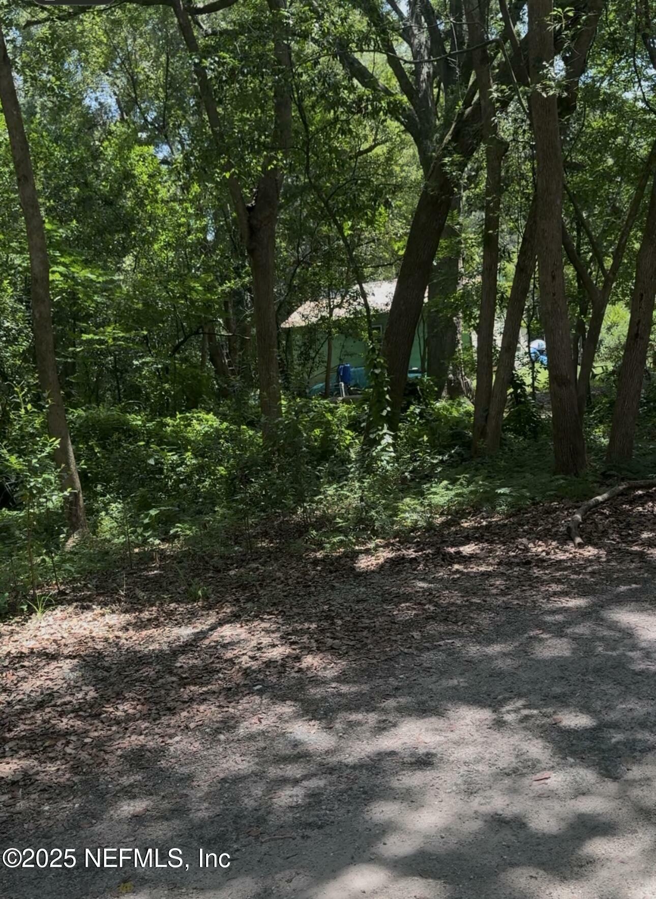 Property Photo: 0 Powell Street FL 32177