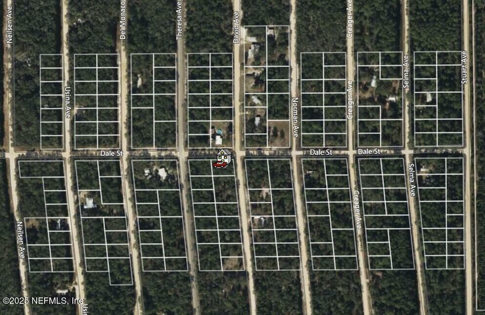Property Photo: 0 David Avenue FL 32148