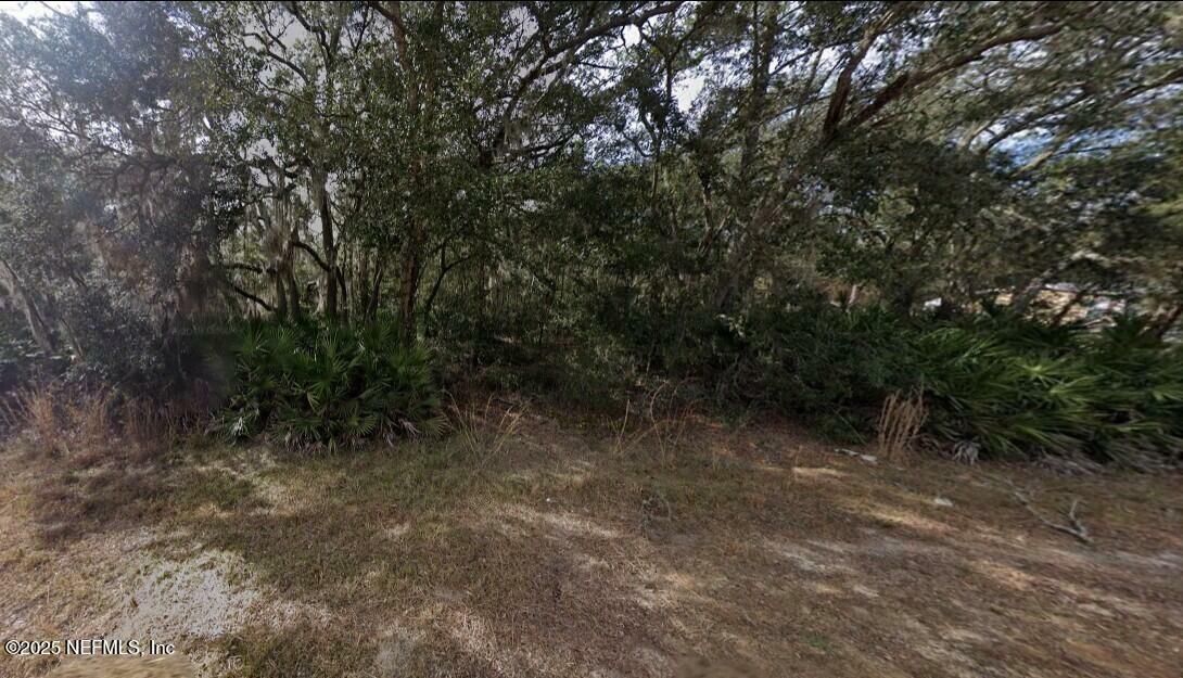 Property Photo: 0 David Avenue FL 32148