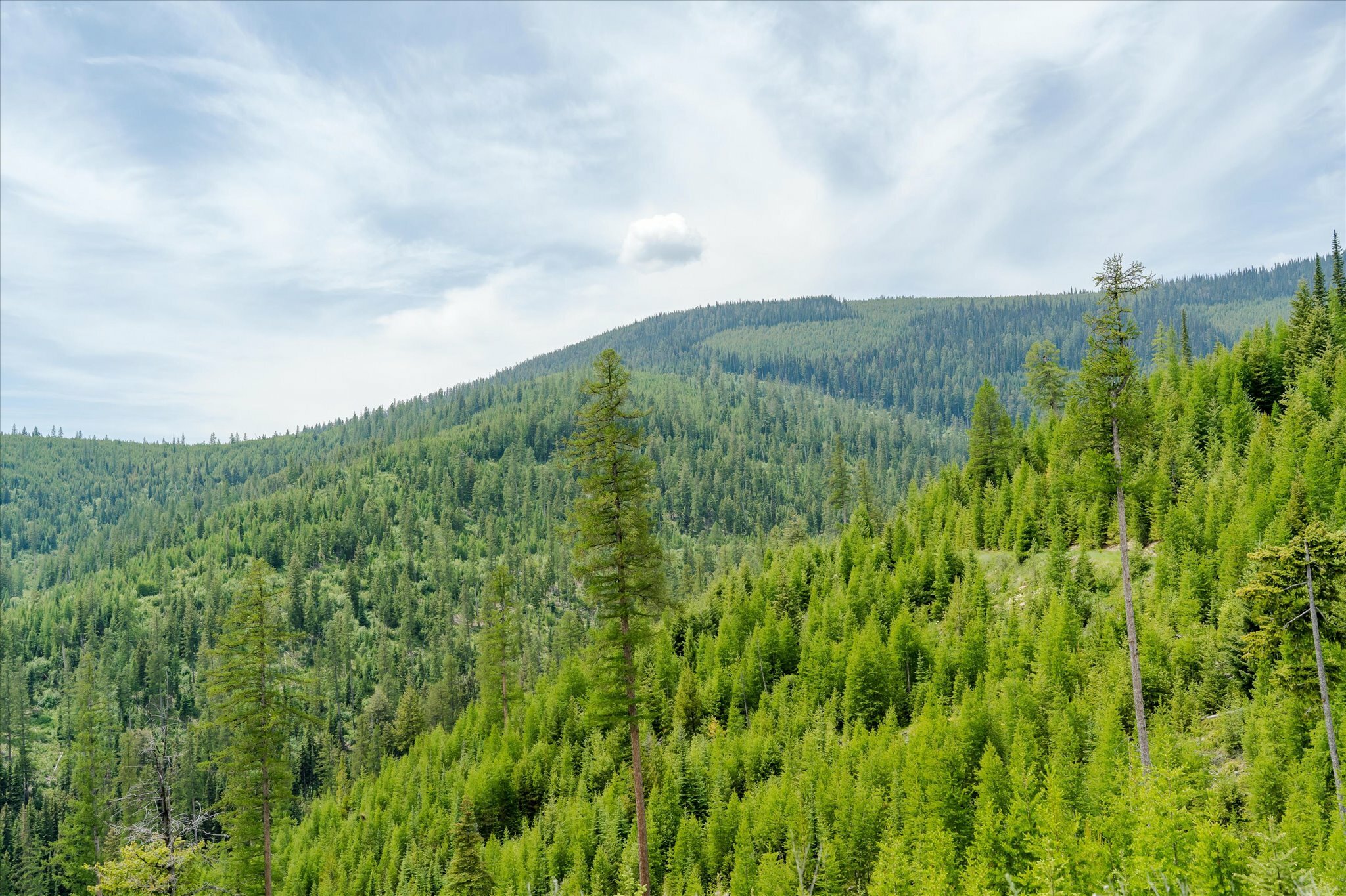 Property Photo: Nhn Fish Creek Road MT 59901