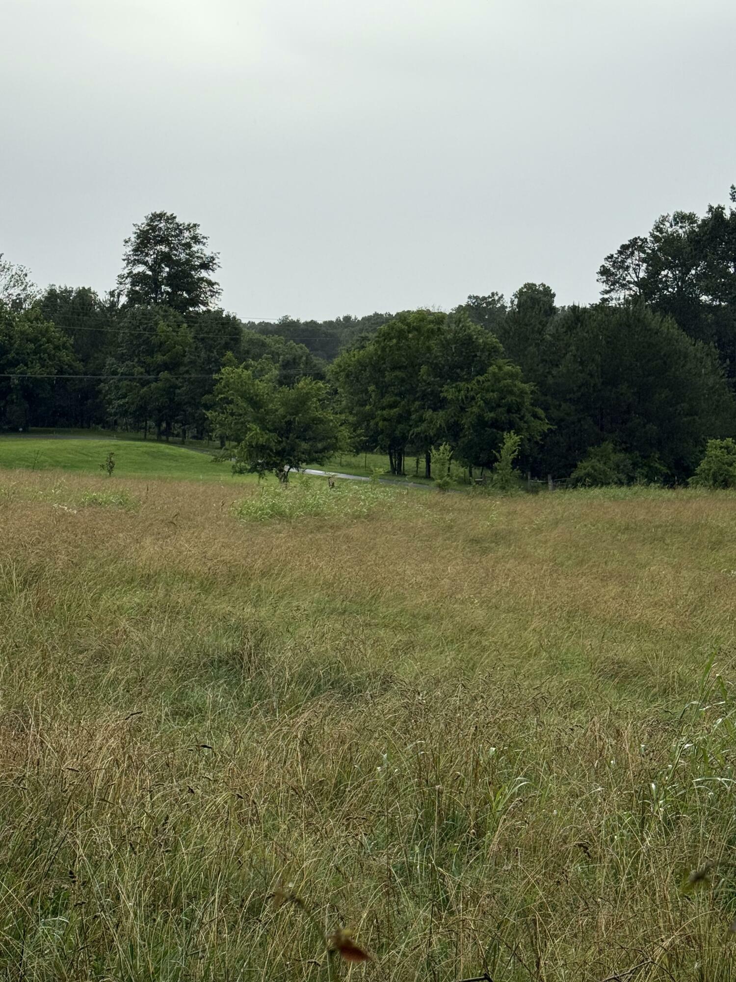 Property Photo: Lot 2, 179 Teague Road TN 37311