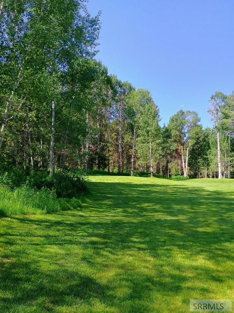 Property Photo: 1355 S Timberline Road ID 83420