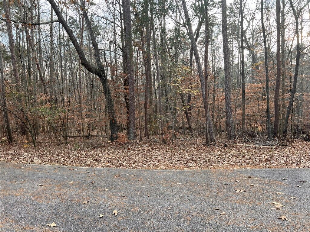 Property Photo:  205 Apricot Lane  SC 29693 