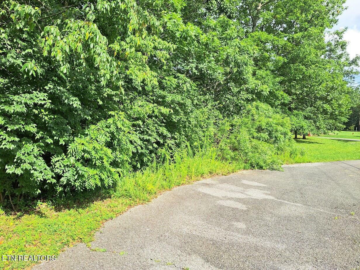 Property Photo: Bear Den - Lot 21 TN 38571