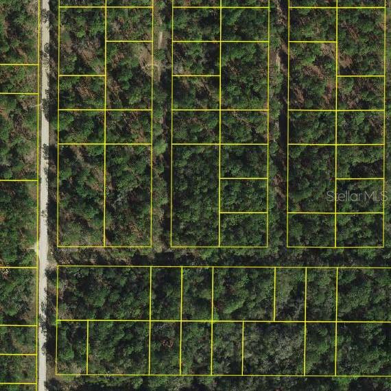 Property Photo: Lot #18,19 And 20 SW 20th Lane SW FL 34481