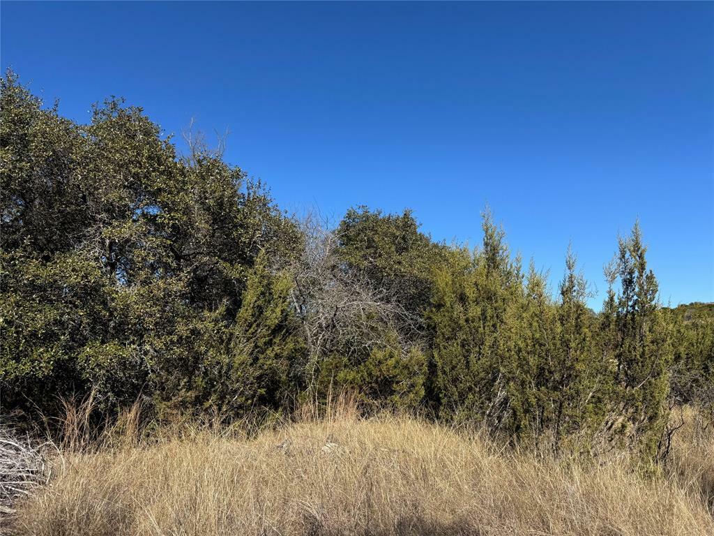 Property Photo: Tbd Sunfish Point TX 76433