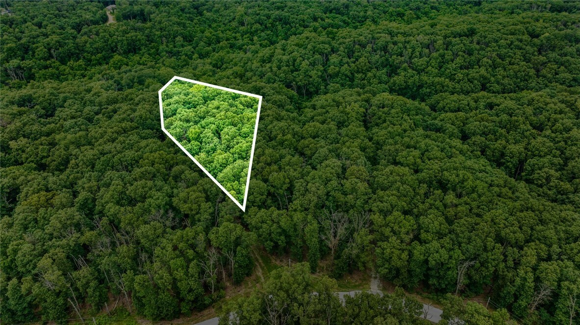 Property Photo: Lots 12 & 13 Kent Lane AR 72714