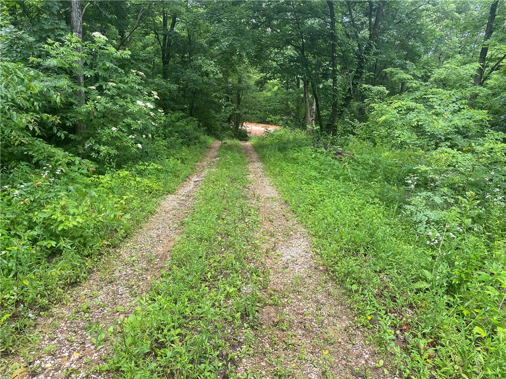 1554 Nc 6020 Road  Jasper AR 72641 photo