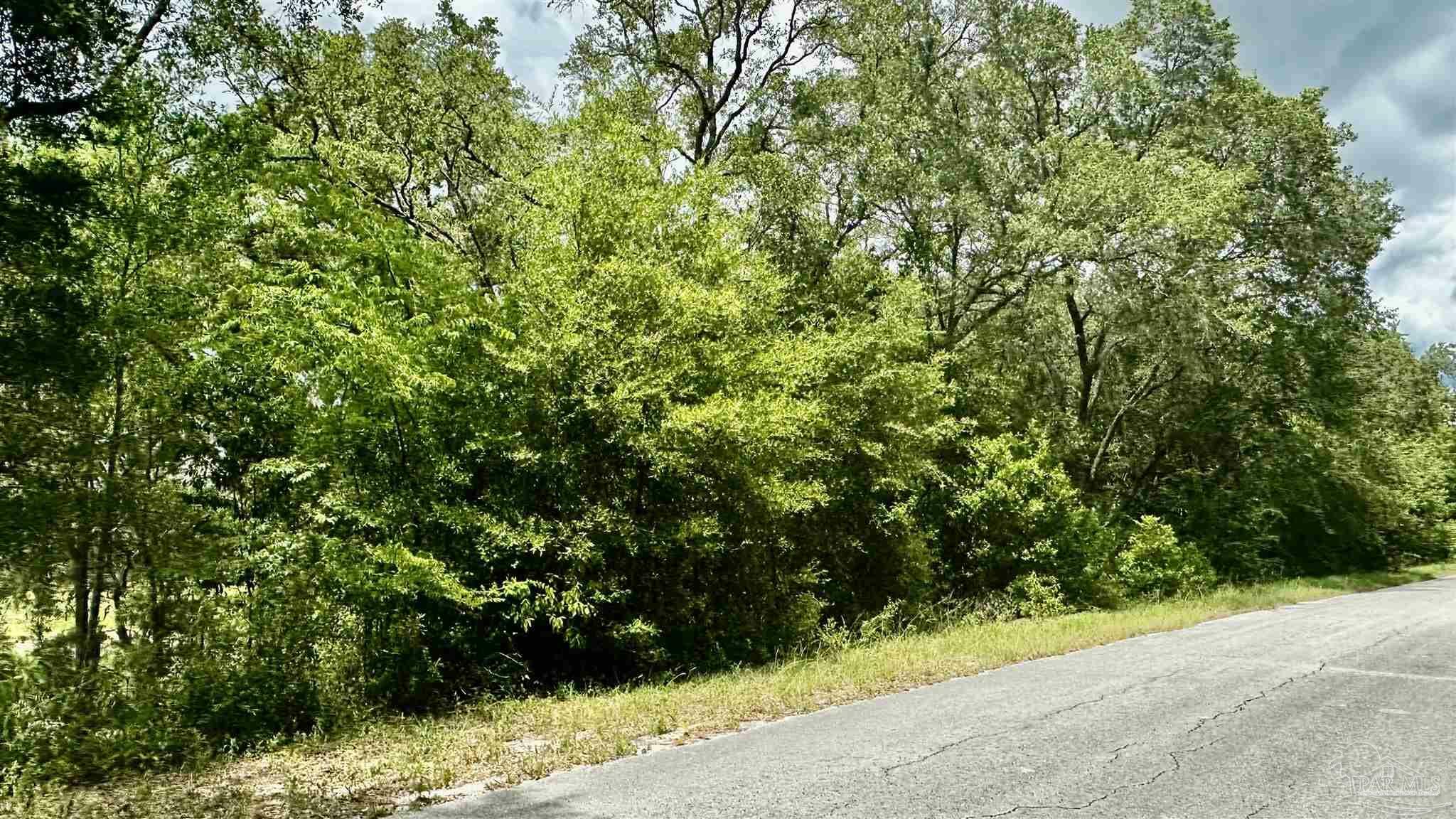 Property Photo: 0 Shorewood Dr FL 34431