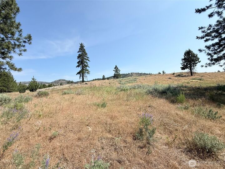 Property Photo: 22 Dutch Anderson Road WA 98841