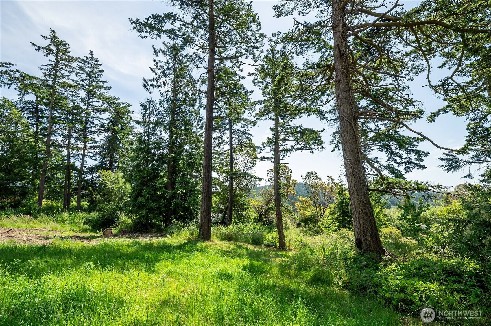 Property Photo:  36  Pavey Boulevard  WA 98261 