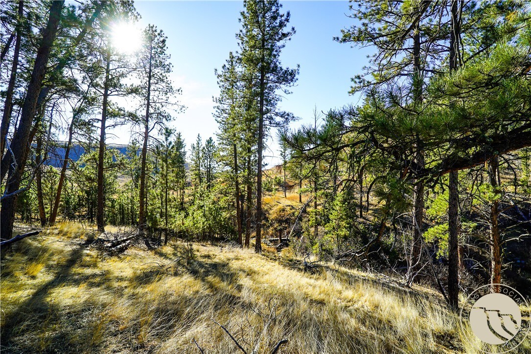 Property Photo:  0 Dry Hole Trail  MT 59069 