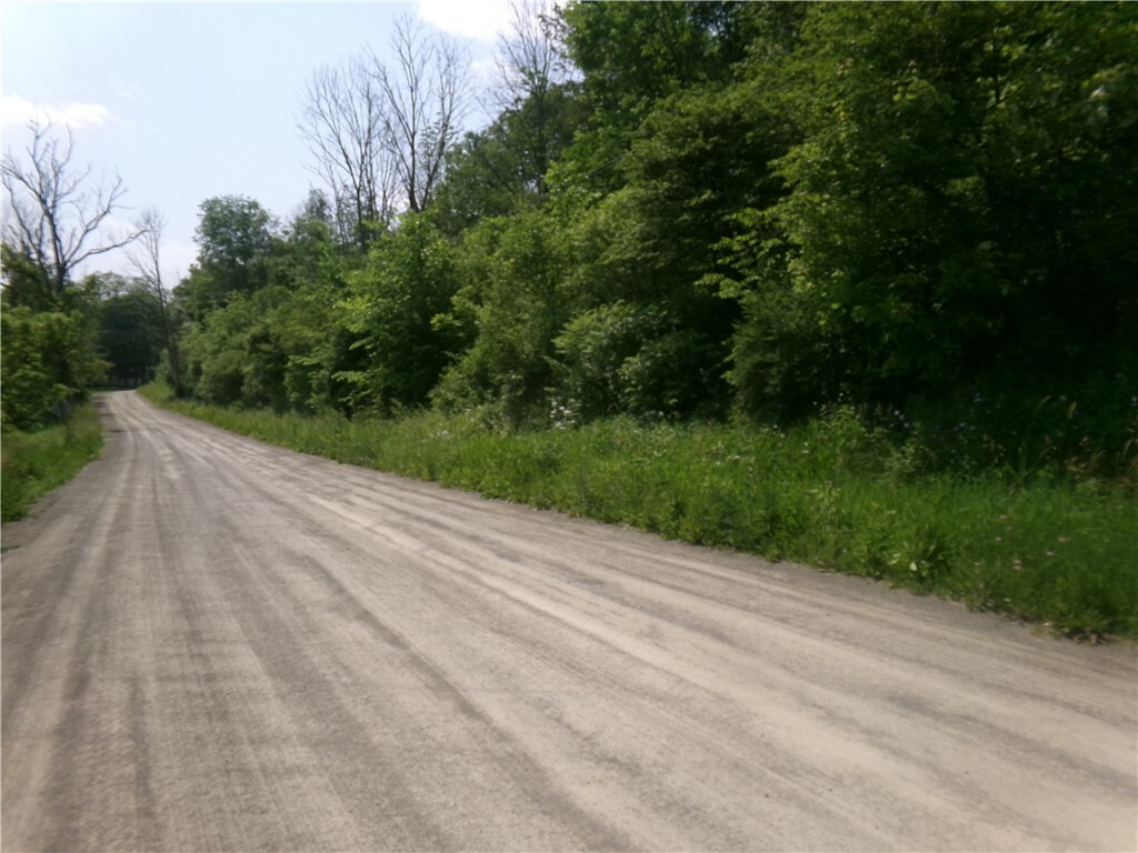 Property Photo: 0 Gridleyville Road NY 14883