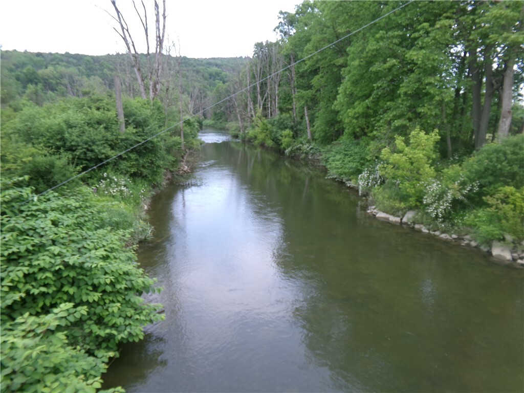 Property Photo: 0 Candor Road NY 14883