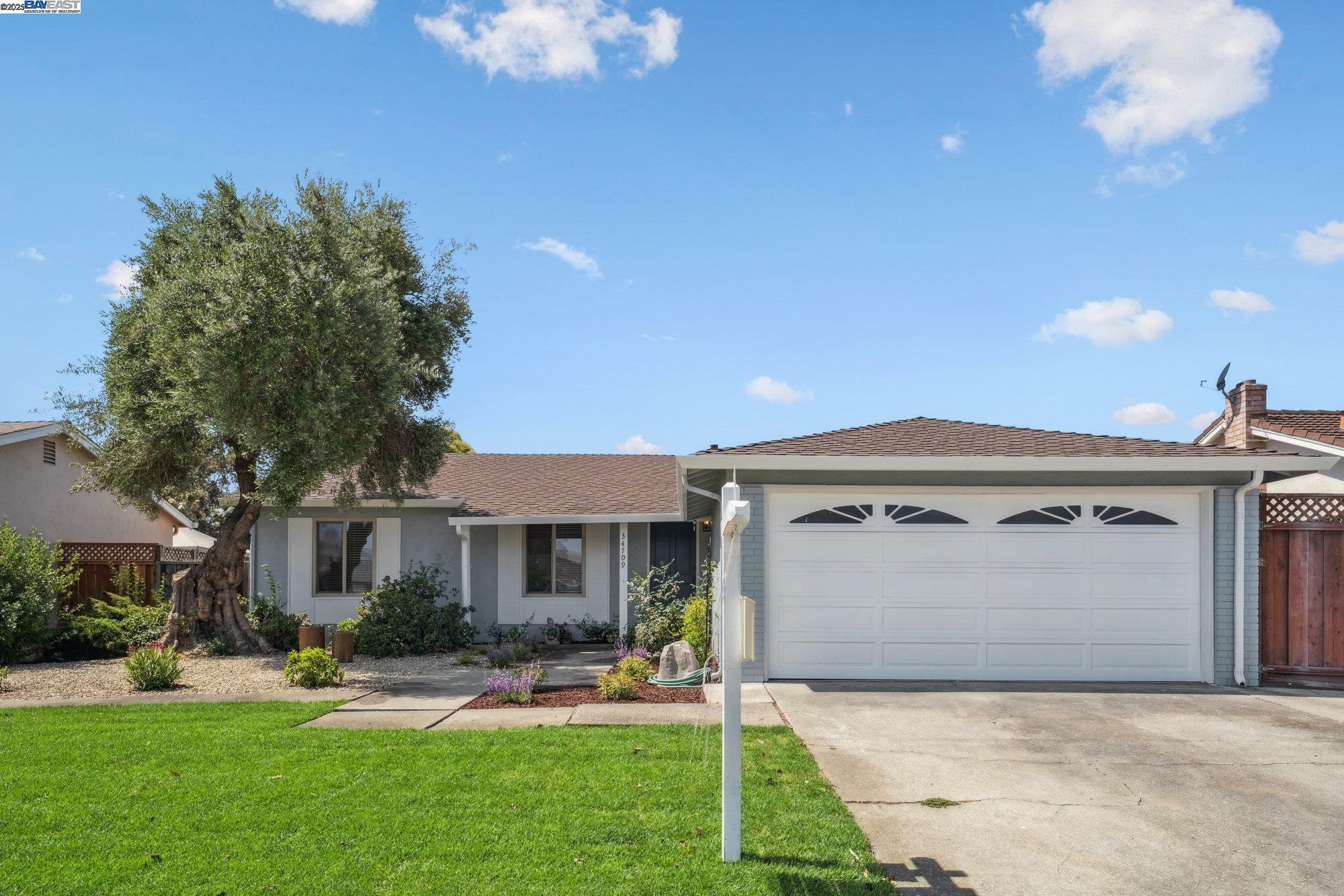 34709 Clover St  Union City CA 94587 photo