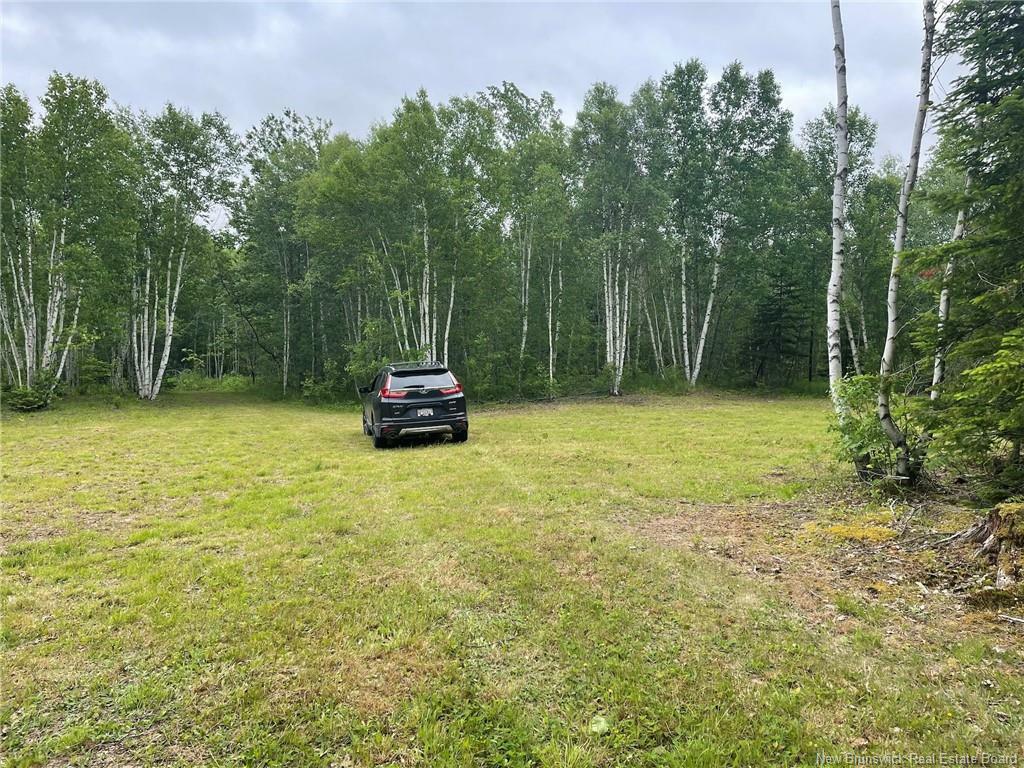 Photo de la propriété: 09-17 Route 105 NB E4C 3K7