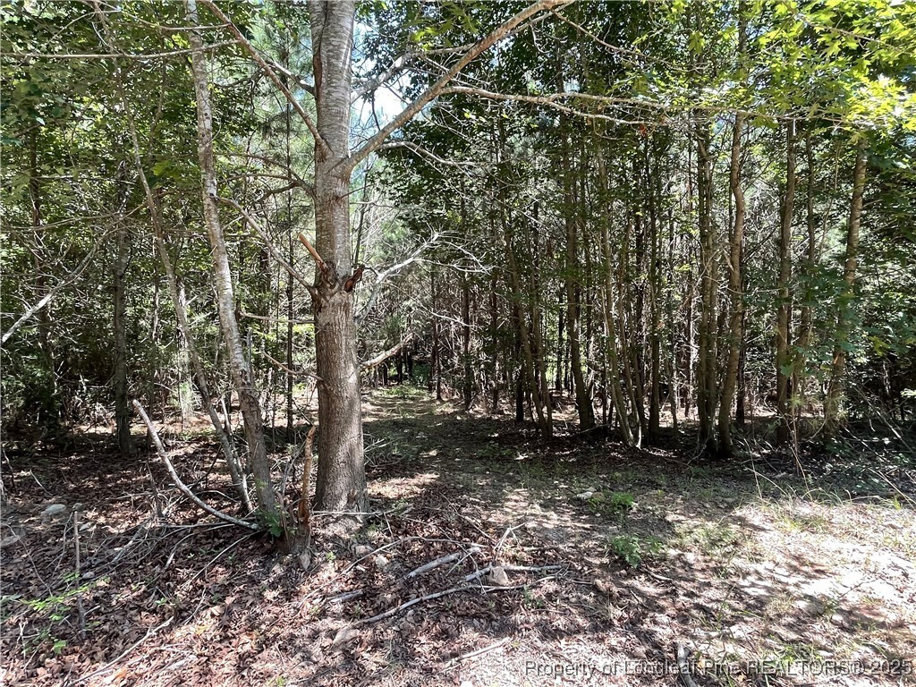 0 Henschel Lane  Broadway NC 27505 photo
