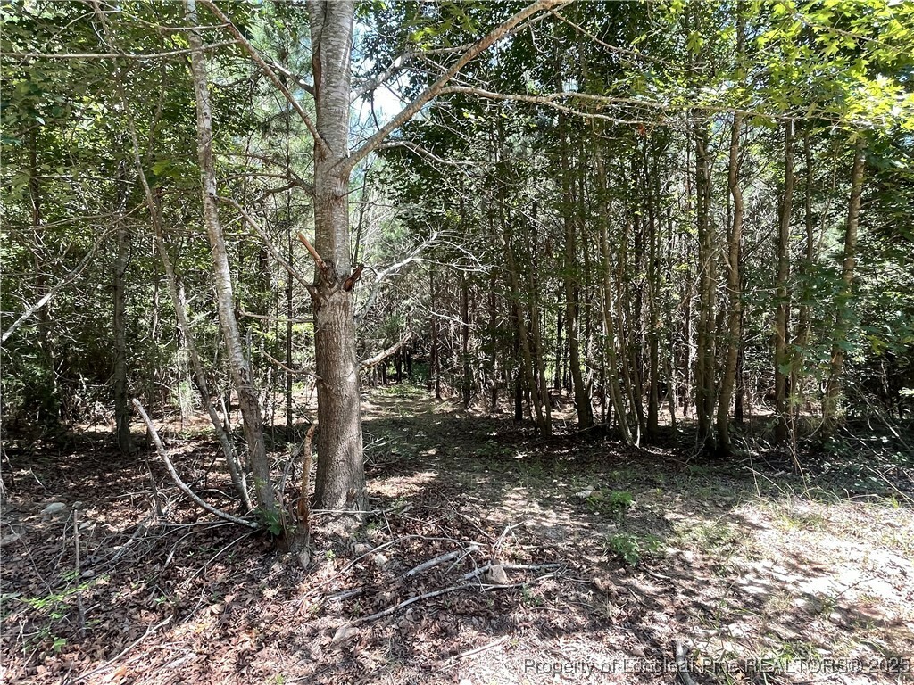 Property Photo:  0 Henschel Lane  NC 27505 