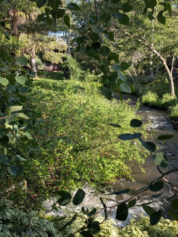 Property Photo: 31 Hoffman Drive MT 59715