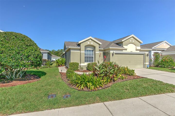 5046 Gato Del Sol Circle  Wesley Chapel FL 33544 photo