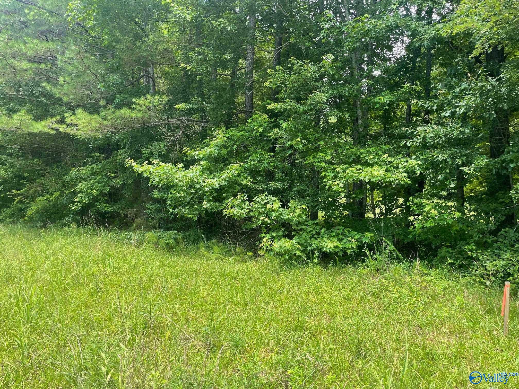 Property Photo:  8.1ac County Road 1198  AL 35057 