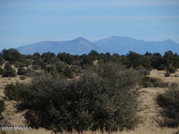 Property Photo:  7428 Mineral Wells Road  AZ 86046 