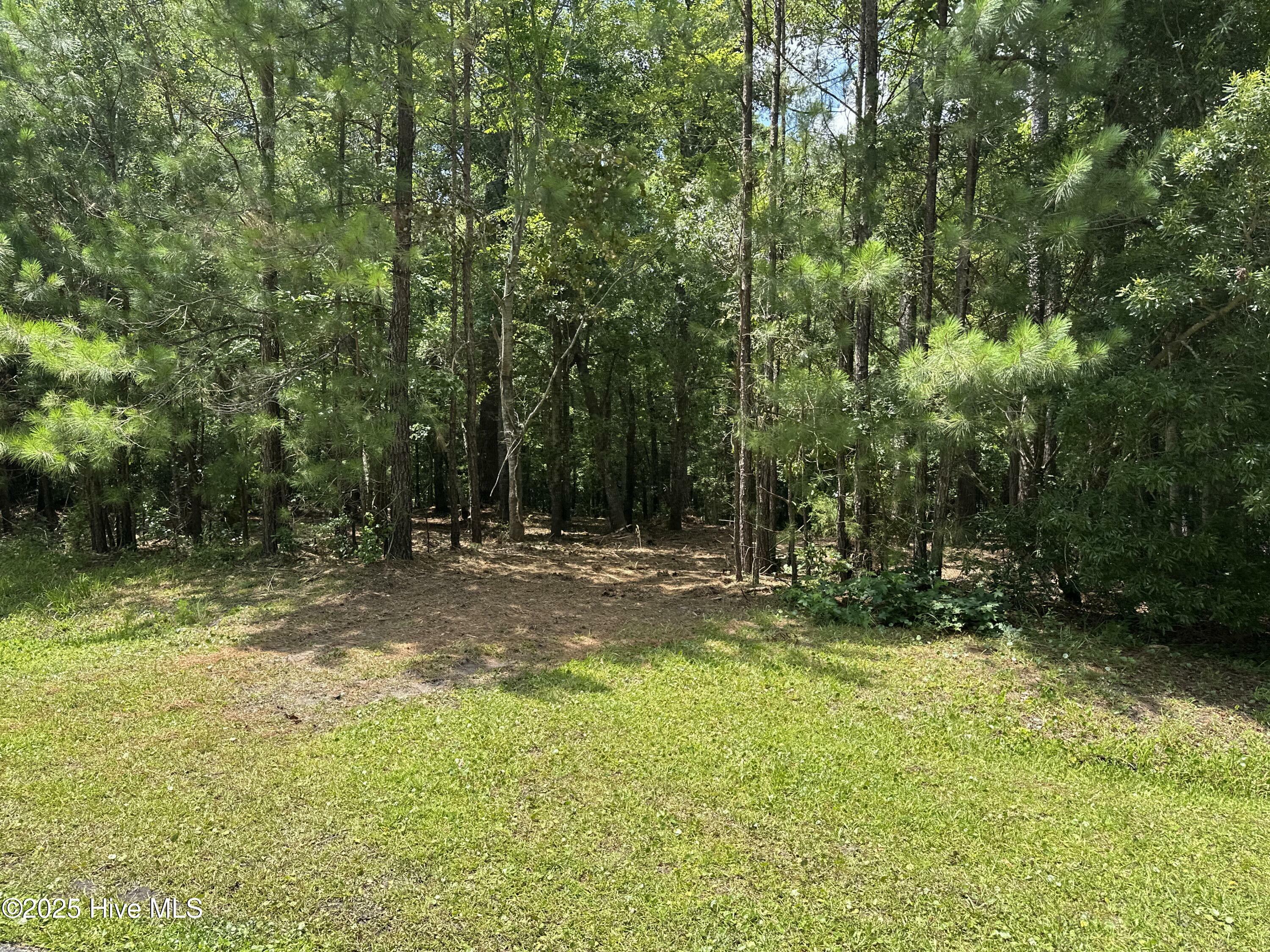 Property Photo:  Lot 143 Tidal Creek Court  NC 28443 
