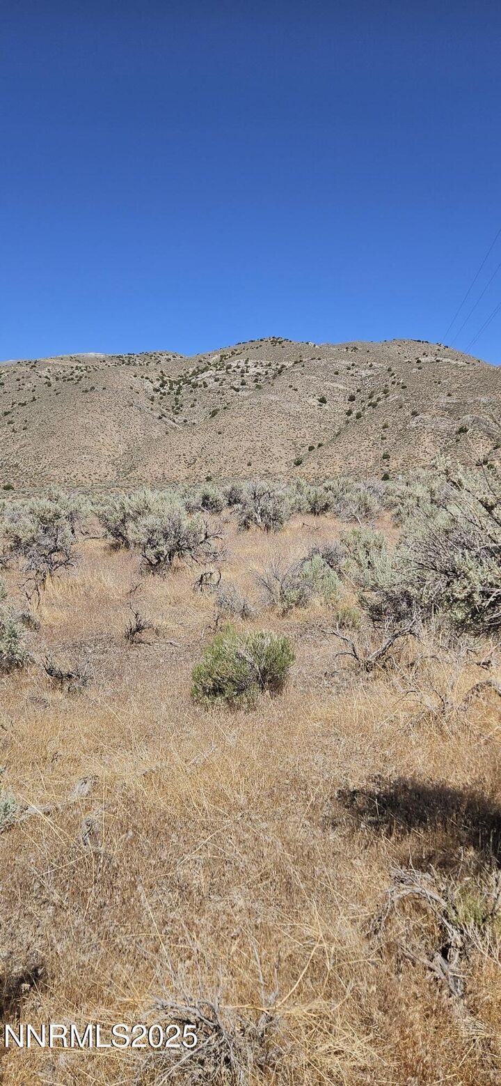 Property Photo:  12170 Rye Patch Reservoir Road  NV 89419 