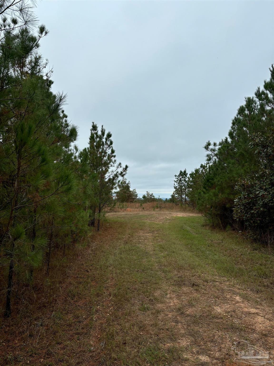 Property Photo:  000 Apple Grove Rd  AL 36481 