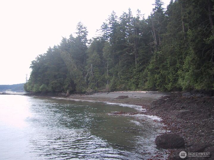 0  Newton Beach Road  Shaw Island WA 98286 photo