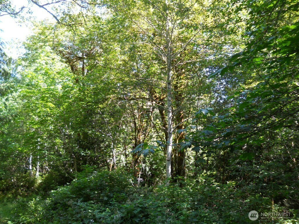 Property Photo: 0 Xxx Triton Heights Road WA 98555