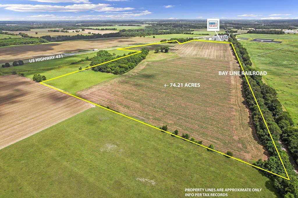 74 Acres Hwy 431  Headland AL 36345 photo