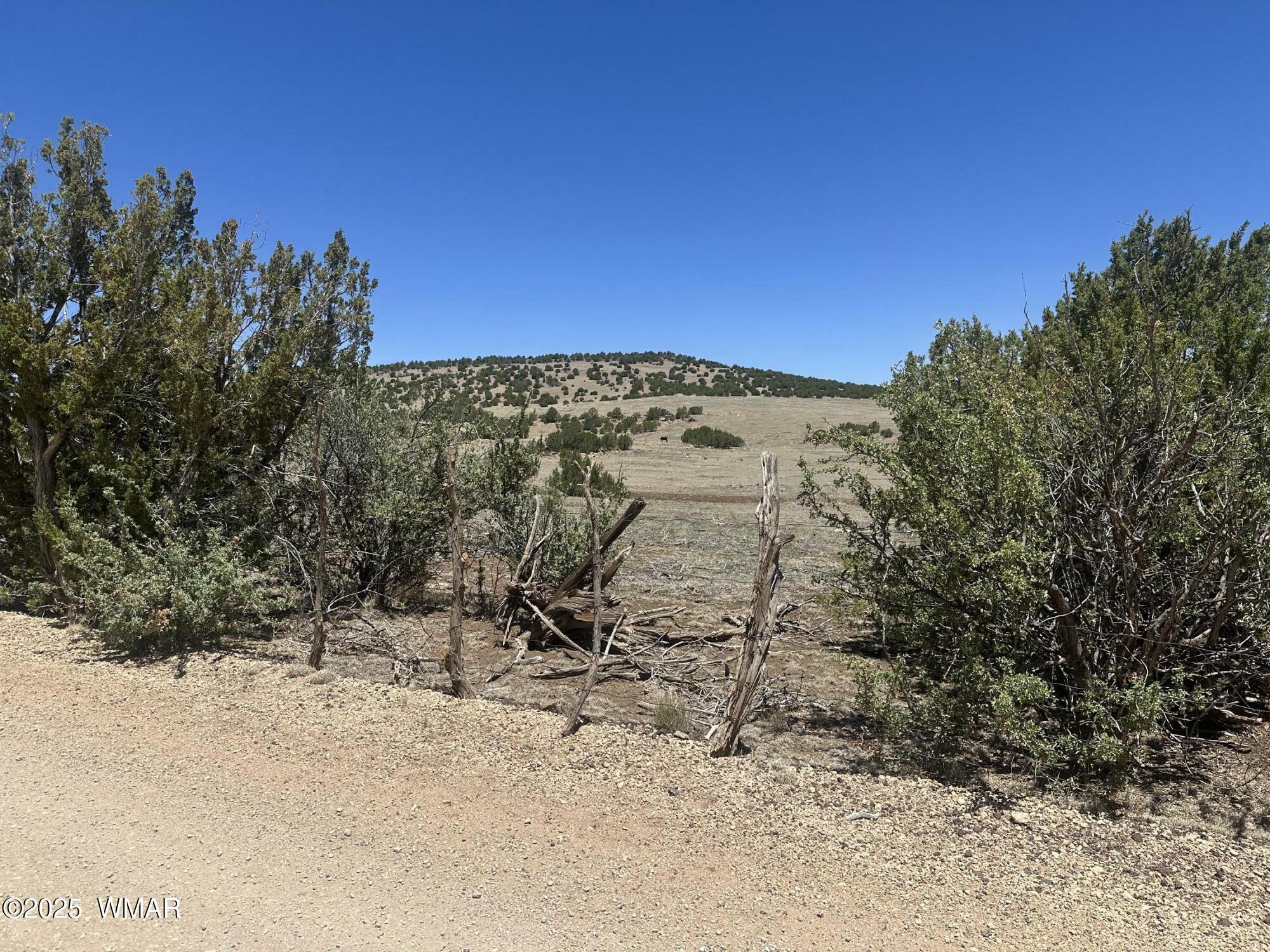 Property Photo:  3 County Road # 3195  AZ 85940 