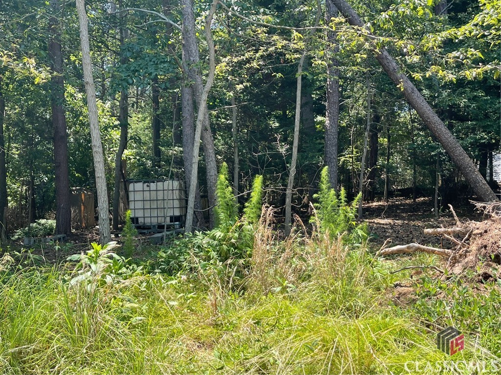 Property Photo: Lot 3 Big Water Circle GA 30643