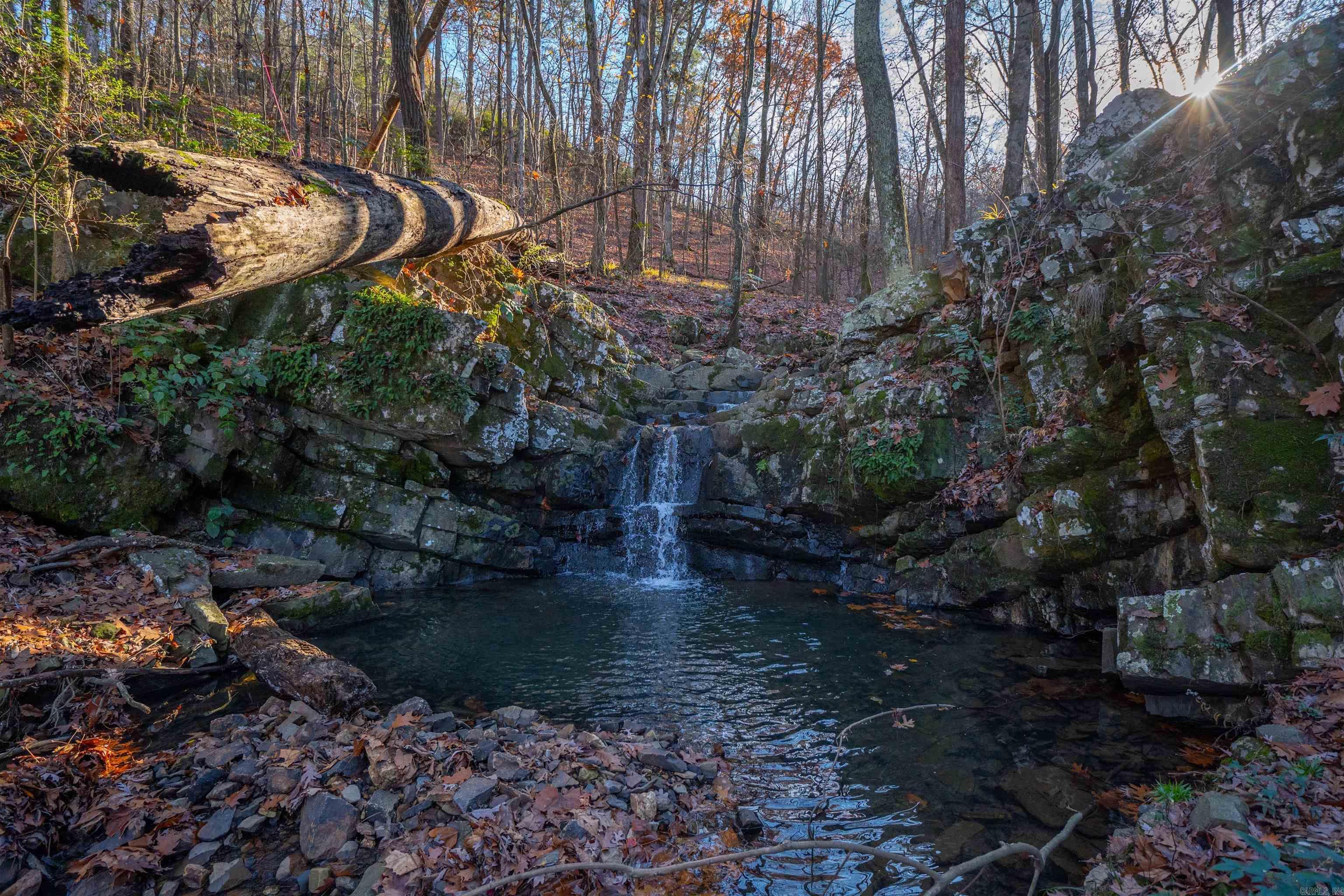 Property Photo: 10 Greathouse Bend AR 72207