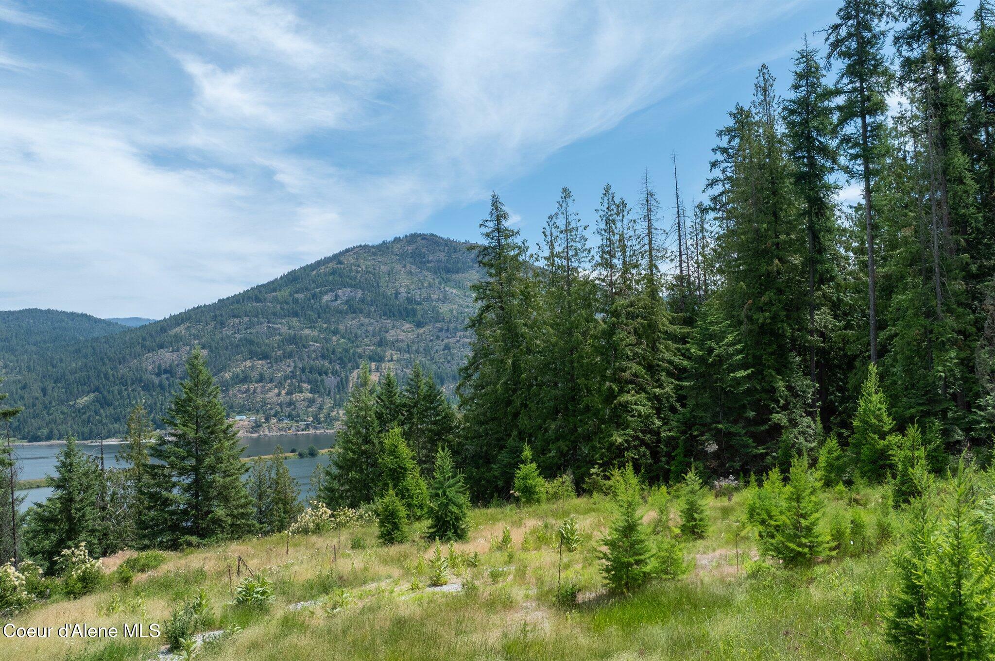 161 Finch Trail  Sandpoint ID 83864 photo